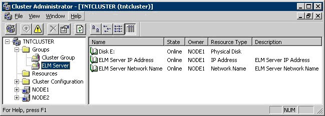 Figure 1 - ELM Server Resource Group Ready for ELM Server Installation